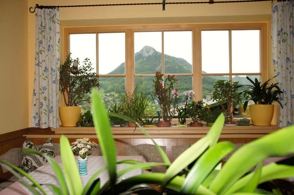 Homestay Haus Lisa